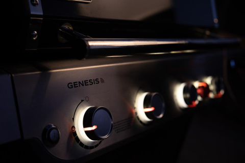 Weber Genesis EPX-335 Weber Genesis EPX-335