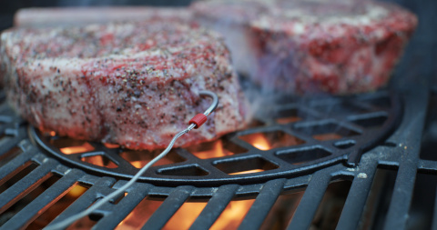 Weber Spirit EPX-335 GBS Weber Spirit EPX-335 GBS