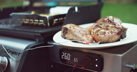 Weber Spirit EPX-335 GBS Weber Spirit EPX-335 GBS