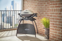 Weber Q 1000 Stand