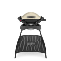 Weber Q 1000 Stand