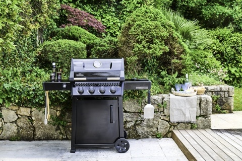 Napoleon Freestyle 425 model 2026