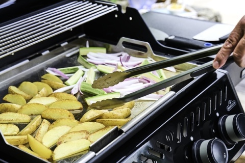 Napoleon Freestyle 425 model 2026