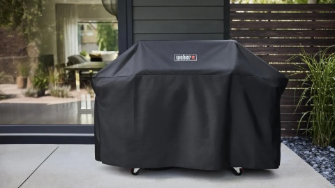 Weber Genesis GENESIS E-435W