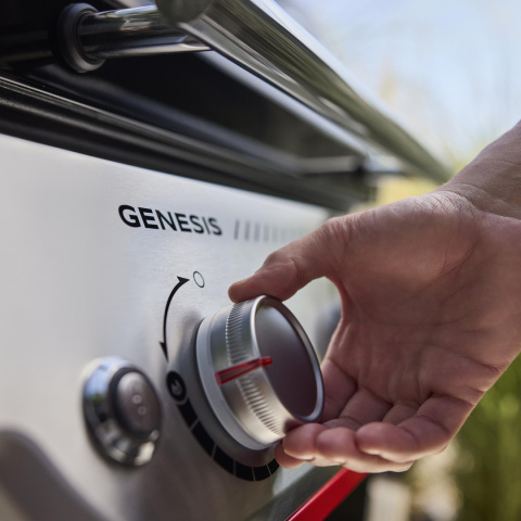 Weber Genesis E-335W model 2025 Weber Genesis E-335W model 2025