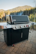 Weber Genesis EX-435