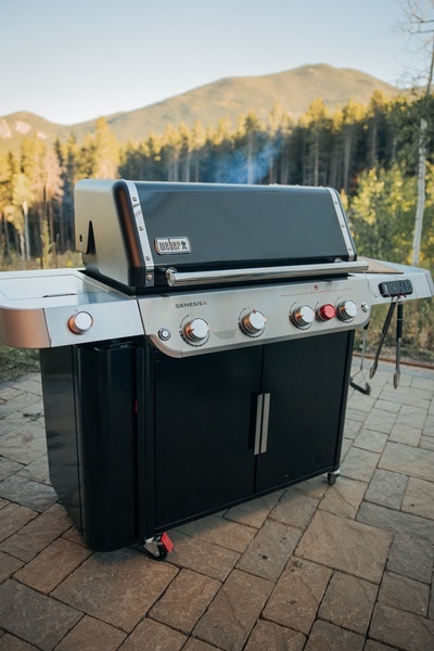 Weber Genesis EX-435 Weber Genesis EX-435