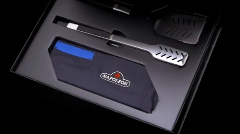 Napoleon PHANTOM Prestige® 500 Connected 50 years