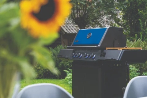 Napoleon PHANTOM Prestige® 500 Connected 50 years