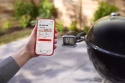 Termometr z wyświetlaczem HUB moduł sterujący Smart